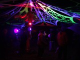 Spiritz Of The Jungle 2016