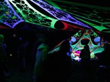 Spiritz Of The Jungle 2016
