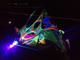 Spiritz Of The Jungle 2016