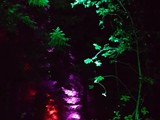 Spiritz Of The Jungle 2017