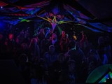 Spiritz Of The Jungle 2018