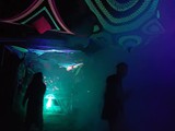 Spiritz Of The Jungle 2018