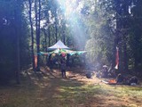 Spiritz Of The Jungle 2018