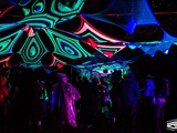 Spiritz Of The Jungle 2018