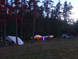 Spiritz Of The Jungle 2018