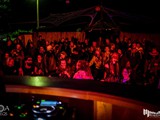 Spiritz Of The Jungle 2019