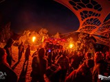 Spiritz Of The Jungle 2019