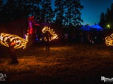 Spiritz Of The Jungle 2019