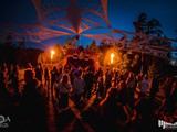 Spiritz Of The Jungle 2019