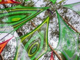 Spiritz Of The Jungle 2019