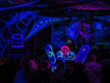 Spiritz Of The Jungle 2018