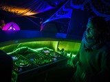 Spiritz Of The Jungle 2018