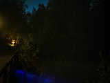 Spiritz Of The Jungle 2018